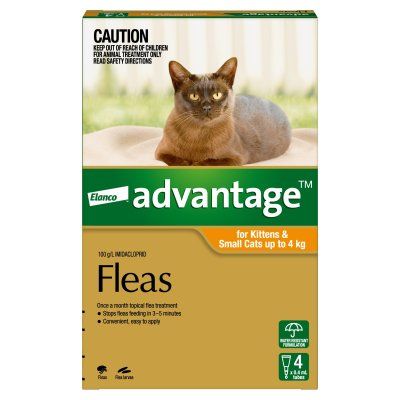 ADVANTAGE CAT