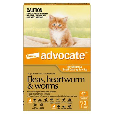ADVOCATE CAT