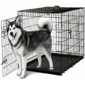 Dog Collapsible Crate ABS Tray in Black Vein