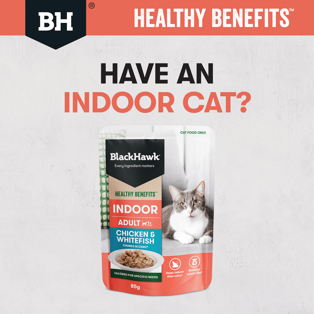 Black Hawk Healthy Benefits Wet Cat Food Adult Indoor Chicken And Fish In Gravy Pouches