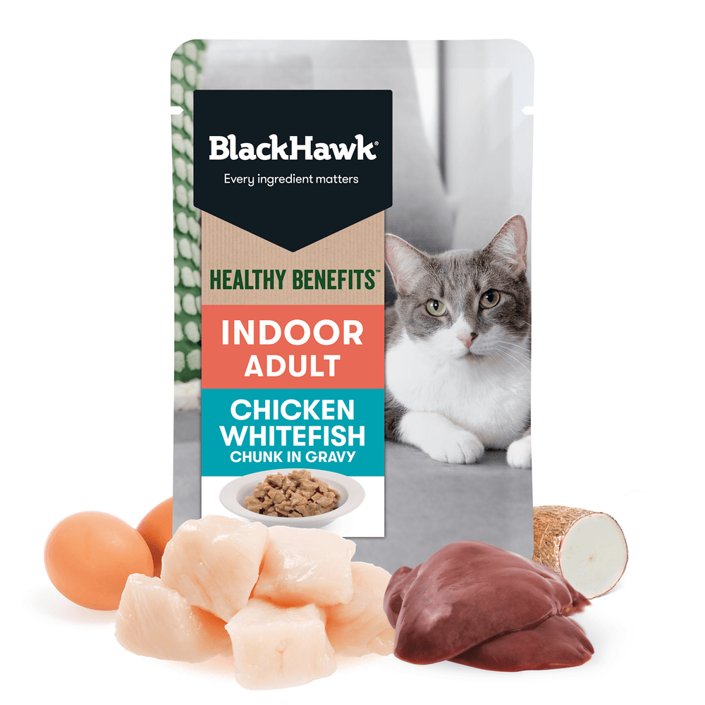 Black Hawk Healthy Benefits Wet Cat Food Adult Indoor Chicken And Fish In Gravy Pouches