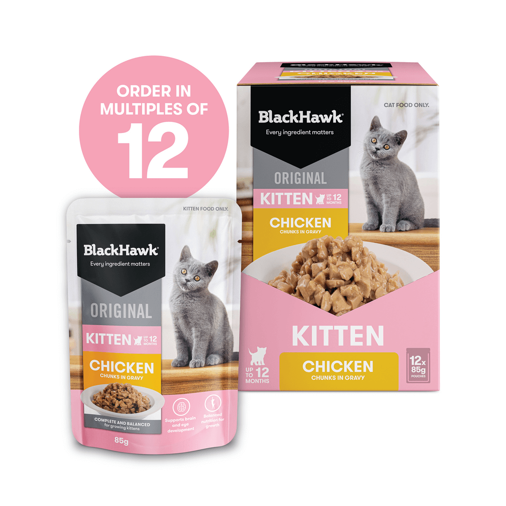 Black Hawk Wet Cat Food Kitten Chicken In Gravy Pouches