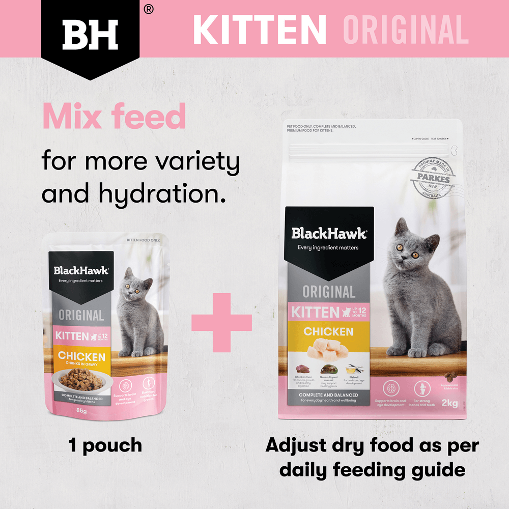 Black Hawk Wet Cat Food Kitten Chicken In Gravy Pouches