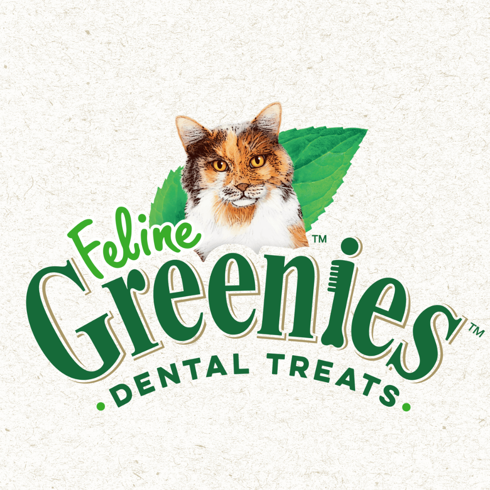 Greenies Cat Treats Dental Succulent Shrimp Flavour