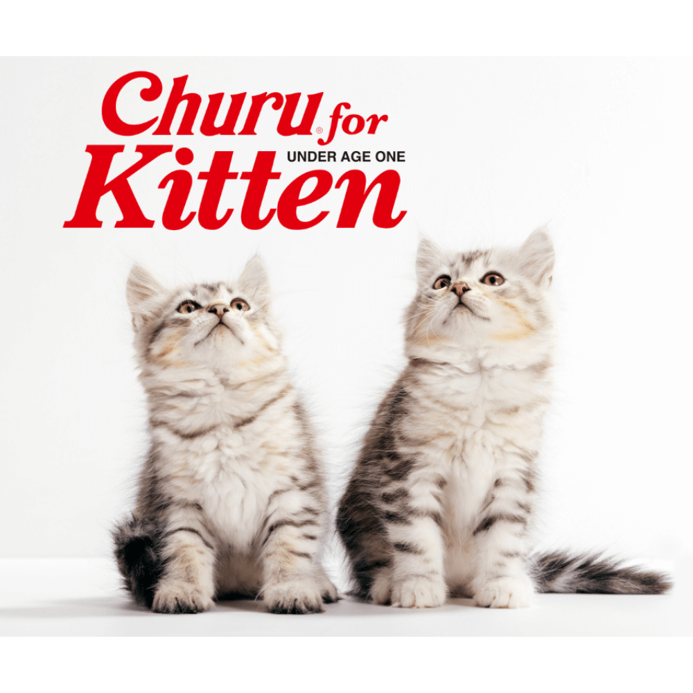 Inaba Churu Chicken Recipe Kitten Cat Treats