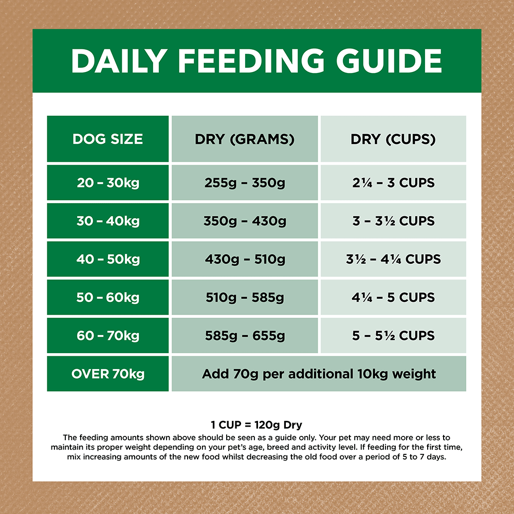 Ivory Coat Grain Free Dry Dog Food Large Breed Adult Lamb