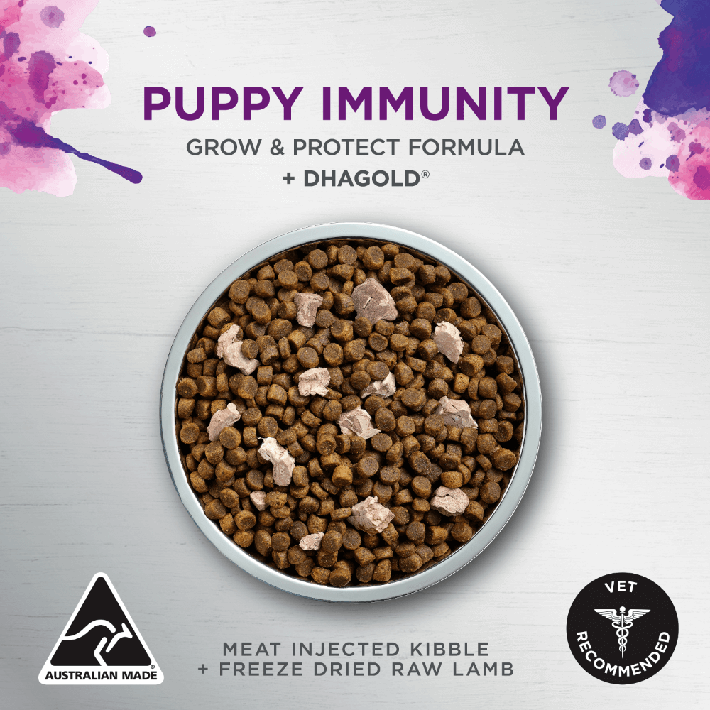 Ivory Coat Raw Health Puppy Immunity Dry Food