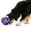 Petsafe Busy Buddy Kibble Nibble Dog Toy