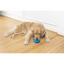 Petsafe Chilly Penguin Freezer Dog Toy