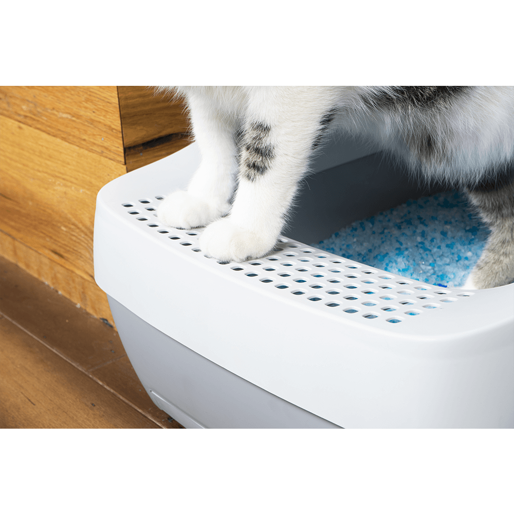 Petsafe Deluxe Crystal Litter Box System