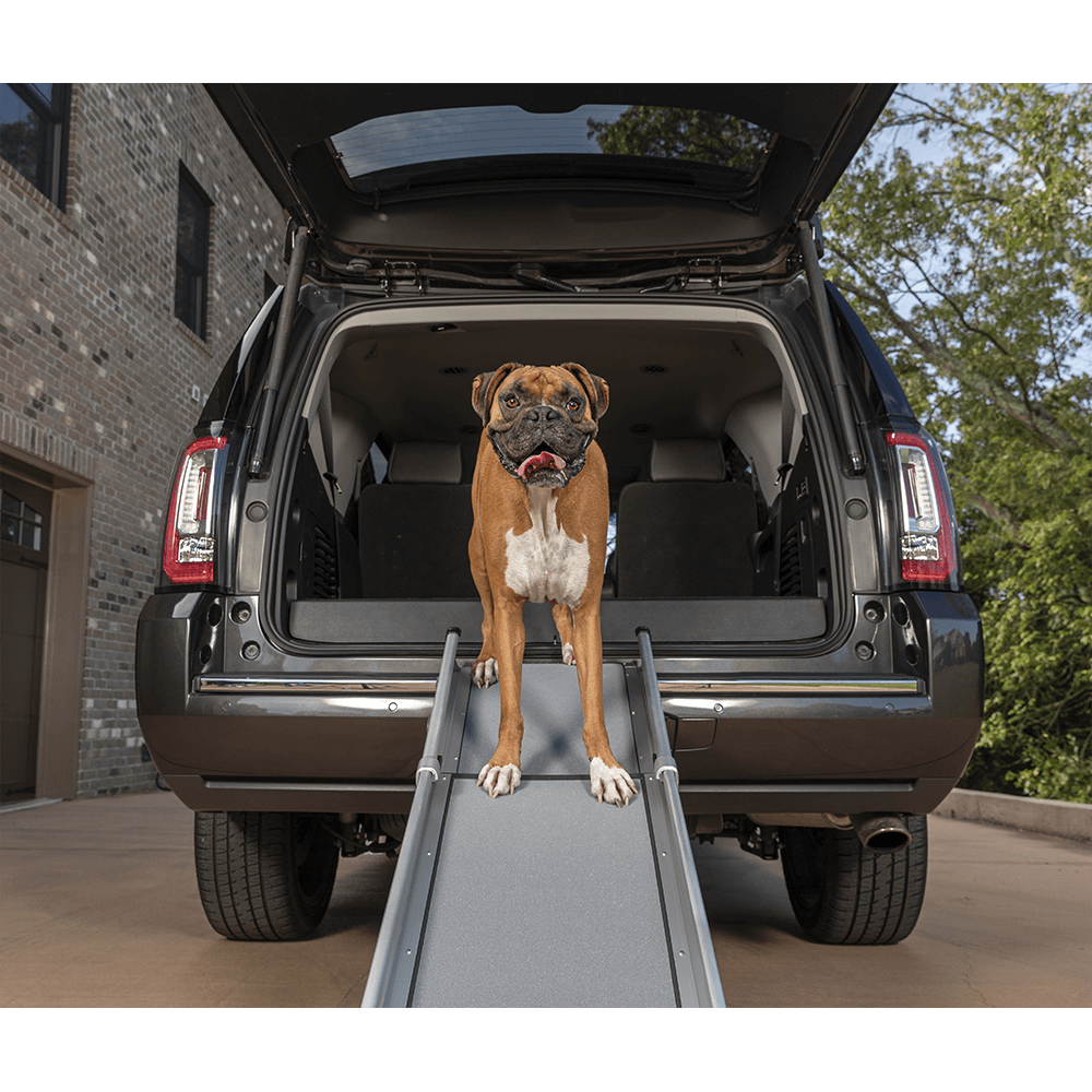 Petsafe Happy Ride Compact Telescoping Dog Ramp