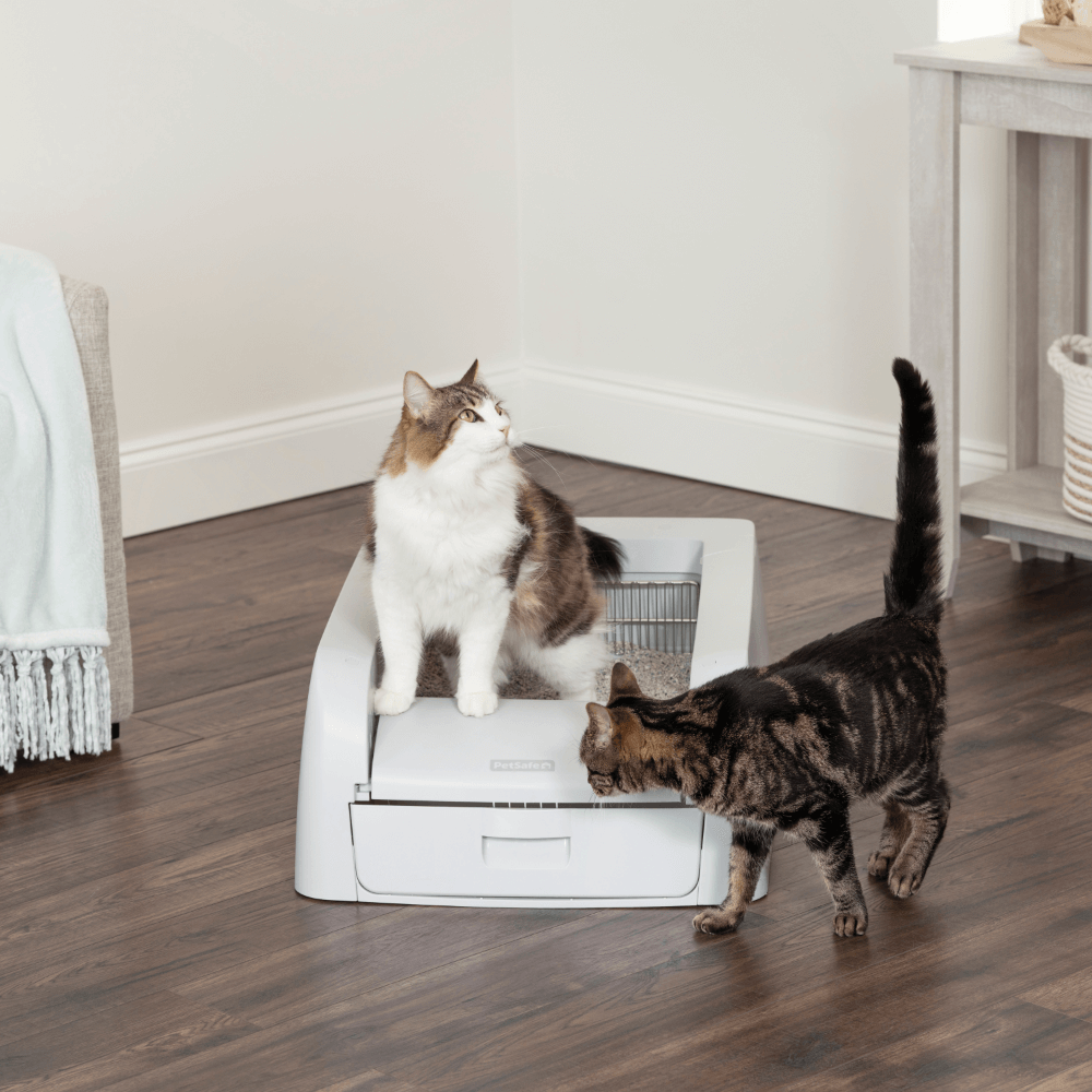 Petsafe Scoopfree Clumping Self Cleaning Litter Box