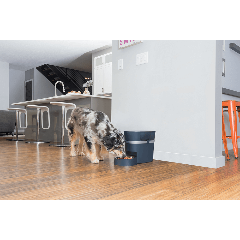 Petsafe Smart Feed Automatic Dog And Cat Feeder