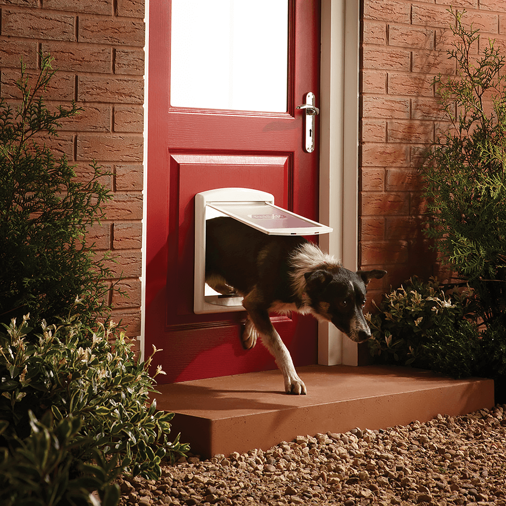 Petsafe Staywell Pet Door Original White