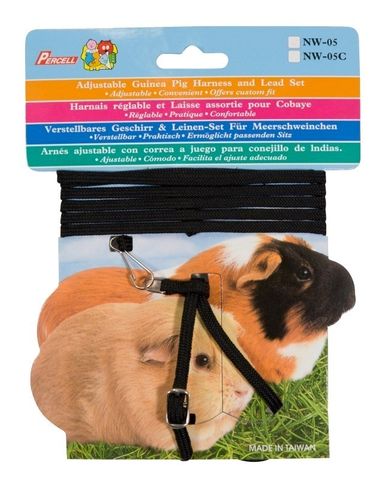 GUINEA PIG HARNESSES