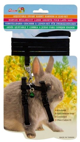 RABBIT HARNESSES