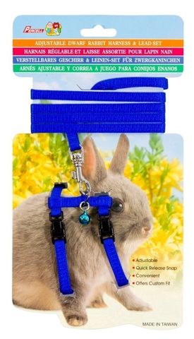 RABBIT HARNESSES