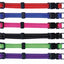 PUPPY COLLARS & LEADS