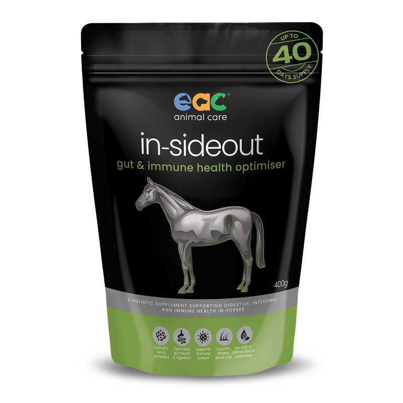 EAC IN-SIDEOUT HORSE 400G