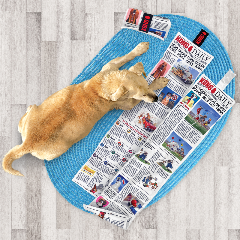KONG NEWSPAPER
