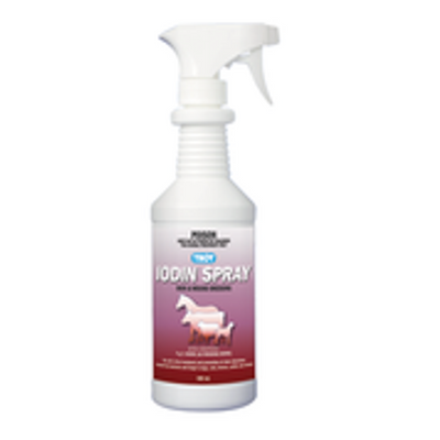 TROY IODIN SPRAY 500ML (DG)