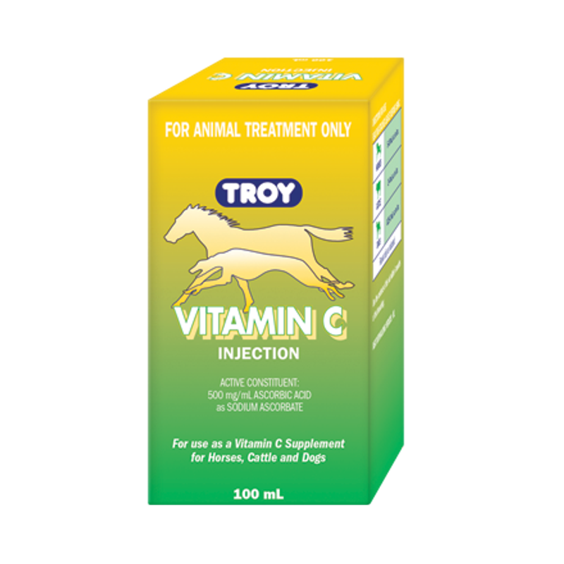 TROY VITAMIN C INJECTION 100ML