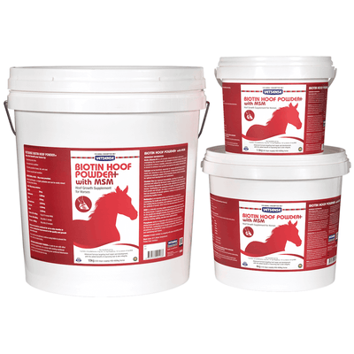 VETSENSE BIOTIN HOOF POWDER + MSM 10KG