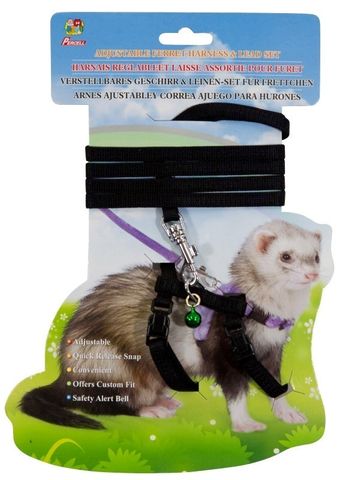 FERRET HARNESSES