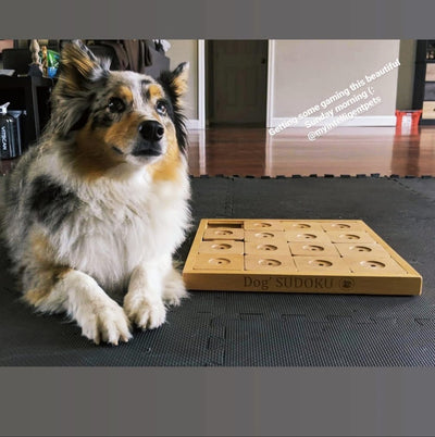 Dog Smart Wooden Interactive Dog Foraging Game Toy - DOG SUDOKU MEDIUM CLASSIC