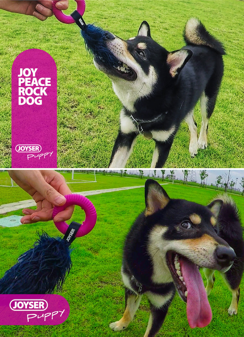 Pet Dog Puppy Chew Toy Squeaker Squeaky Ring With Tail Soft Plush Play Teeth Gift JOYSER