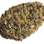 AVIONE