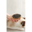 MOMI Japan Pet Grooming Bristle Brush/Cat Hair Brightening Brush high quality