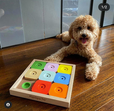 Dog Smart Wooden Interactive Dog Foraging Game Toy-SUDOKU MEDIUM EXPERT RAINBOW My Intelligent Pets