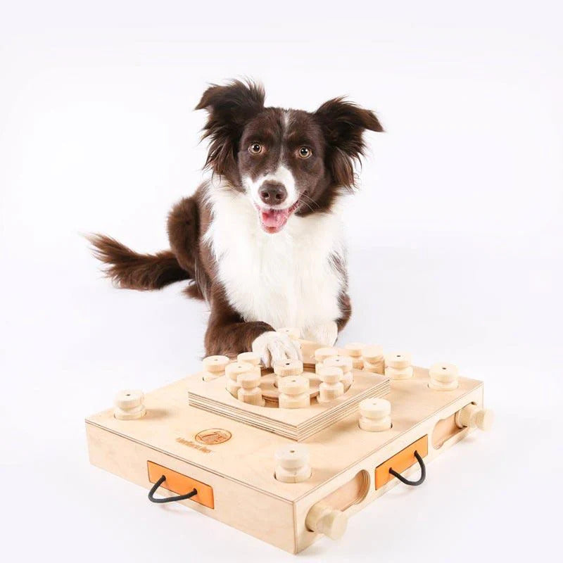 Dog Smart Wooden Interactive Dog Foraging Game Natural Wood Toy - Turtle