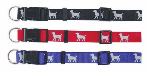 NYLON COLLARS & LEADS