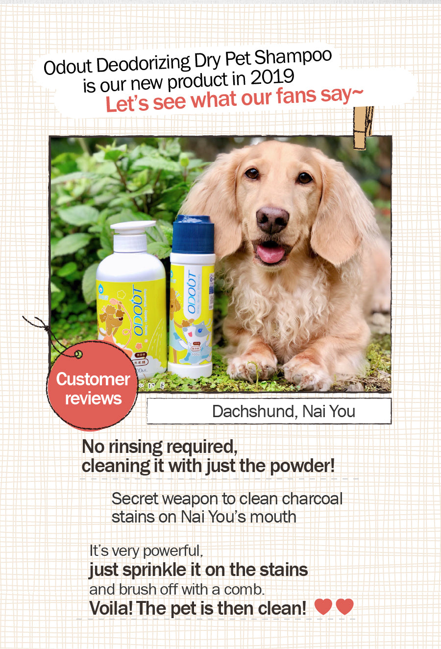 Petcare Waterless Foam Shampoo – No Rinse Waterless Dry Shampoo for Dogs 100g ODOUT