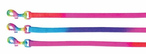 PUPPY COLLARS & LEADS