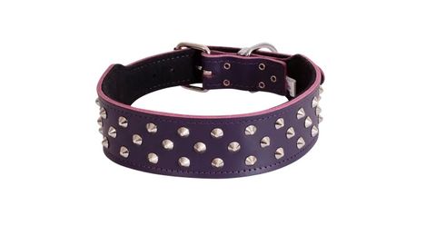 STAFFY COLLARS (SPECIAL ORDER)