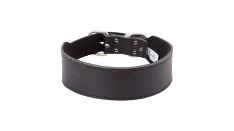 STAFFY COLLARS (SPECIAL ORDER)