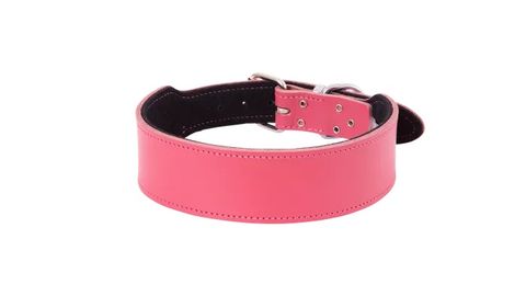 STAFFY COLLARS (SPECIAL ORDER)