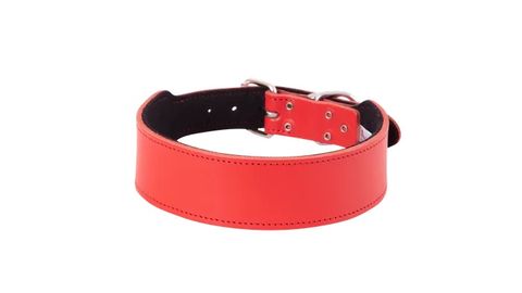 STAFFY COLLARS (SPECIAL ORDER)