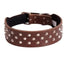 STAFFY COLLARS (SPECIAL ORDER)