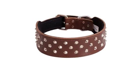 STAFFY COLLARS (SPECIAL ORDER)