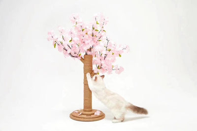 Vetreska Scratcher Cherry Blossom Tree Cat Kitten Sisal Climbing Scratching Post