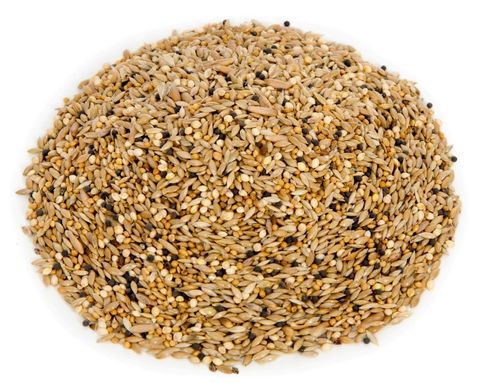 AVIGRAIN
