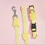 Pet Dog Cat Collar Leash Set Adjustable 2 Colors Vetreska