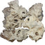 NATURAL ROCKS