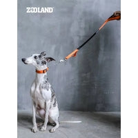 Pet Shock Absorbing Lead Leash Nylon Traction Rope for Mediem Large dogs Zooland