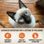Wellness CORE Tiny Tasters Chicken Pate Wet Cat Food