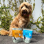 BELL & BONE Lamb, Mint and Manuka Honey Dental Sti
